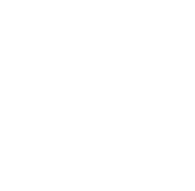 Diamond Badge White