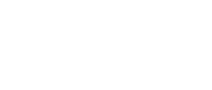 Meticulosity_Logo-white-notag-1